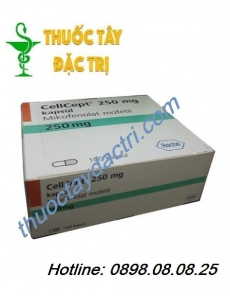 thuốc Cellcept 250mg ức chế miễn dịch phòng thải ghép