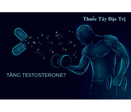 Tại Sao Testosterone Quan Trọng Với Nam Giới
