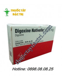 Thuốc Digoxine nativelle 0.25mg 